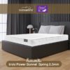 ที่นอนสปริง ระบบ POWER SPRING 2.3 หุ้มผ้าแจ็คการ์ดกันไรฝุ่น รุ่น Vanest