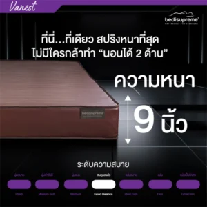 ที่นอนสปริงหุ้มหนังPVC รุ่น Vanest