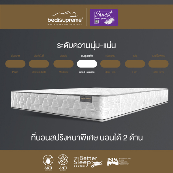 ที่นอนสปริง ระบบ POWER SPRING 2.3 รุ่น Vanest