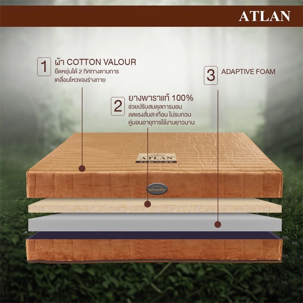 ที่นอนยางพาราแท้ 100% Latex หุ้มผ้า Cotton Velour กันไรฝุ่น (ไม่ใช่ยางพาราอัด) รุ่น ATLAN