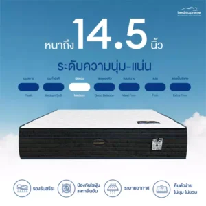 ที่นอนยางพาราแท้ นวัตกรรมเพิ่มความเย็น X3 พร้อมพ็อกเก็ตสปริง  หนา 14.5 นิ้ว รุ่น ICELAB