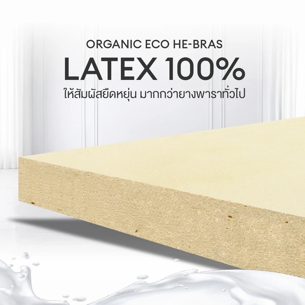 ที่นอนยางพาราแท้ 100% แบบฉีดขึ้นรูป 7 zone รุ่น MAXTEX