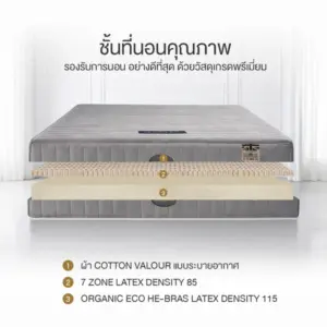 ที่นอนยางพาราแท้ 100% แบบฉีดขึ้นรูป 7 zone รุ่น MAXTEX