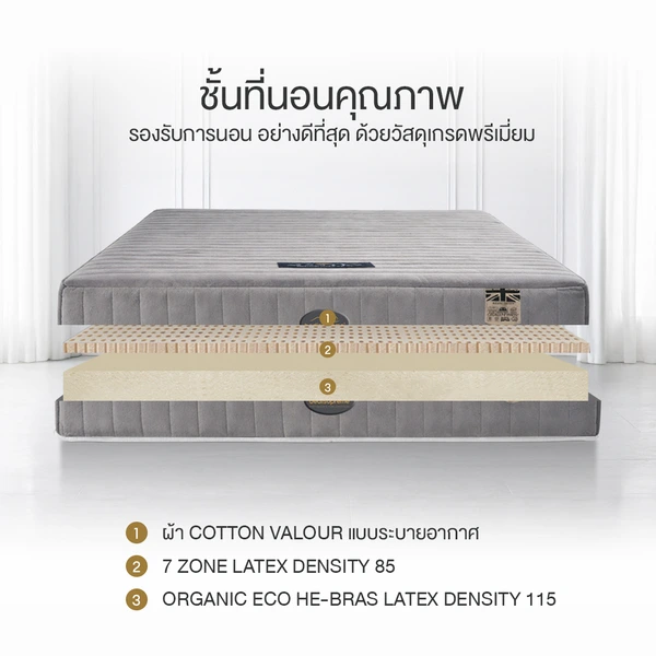 ที่นอนยางพาราแท้ 100% แบบฉีดขึ้นรูป 7 zone รุ่น MAXTEX