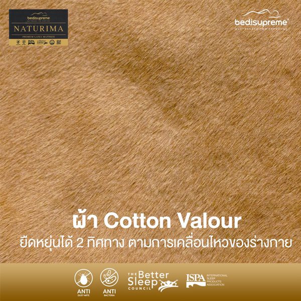 ที่นอนยางพาราแท้ 100% Natural Latex หุ้มผ้า Cotton Velour กันไรฝุ่น รุ่น Naturima