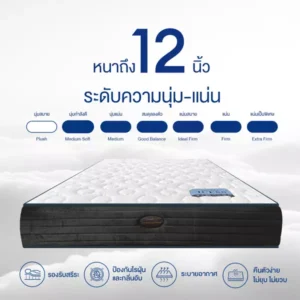ที่นอนยางพาราแท้ นวัตกรรมเพิ่มความเย็น X3 พร้อมแสตนเลสสปริง รุ่น ICESS