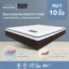 Earthzone cooling memory foam