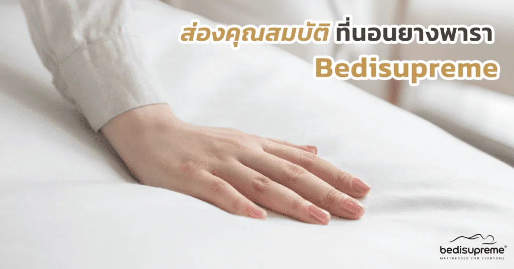 ที่นอน bedisupreme ดีไหม