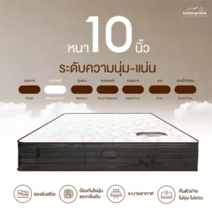ที่นอน Pocket spring 7 zone พ็อคเก็ตสปริง เสริมด้วย Comfort Cloud Foam หนา 10 นิ้ว รุ่น Ecoflex