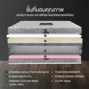 ที่นอนสปริงเสริมยางพาราแท้ รุ่น REVITA