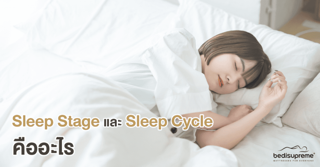 Sleep Stage และ Sleep Cycle คืออะไร