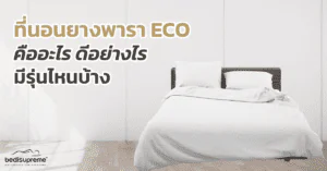 ที่นอนยางพารา ECO คืออะไร ดีอย่างไร มีรุ่นไหนบ้าง