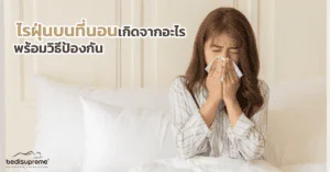 ไรฝุ่นบนที่นอนเกิดจากอะไร พร้อมวิธีป้องกัน