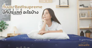 ที่นอน Bedisupreme มีกี่ประเภท อะไรบ้าง