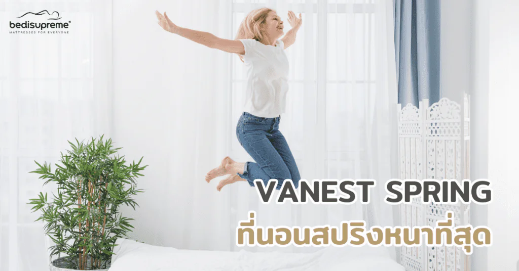 VANEST SPRING ที่นอนสปริงหนาที่สุด