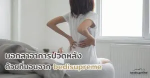 บอกลาอาการปวดหลังด้วยที่นอนจาก Bedisupreme