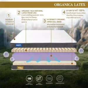 ที่นอนยางพาราแท้100% ธรรมชาติ ผสานด้วย HI-DENSITY ORGANIC OPEN CELL BASE รุ่น ORGANIZ ECO