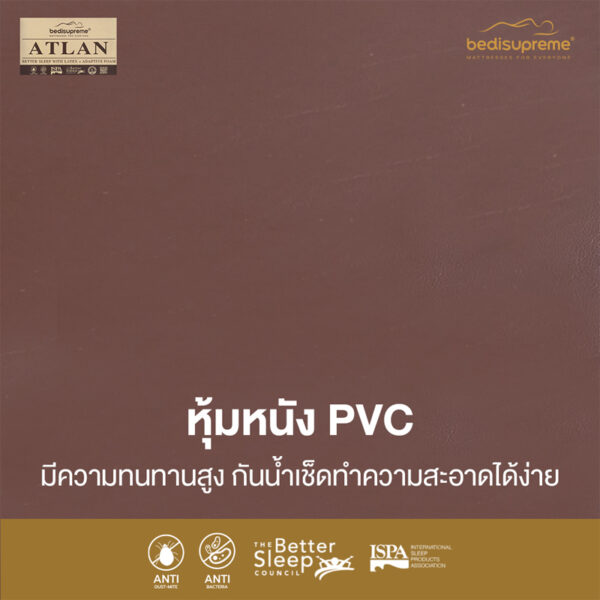 ATLAN/PVC5