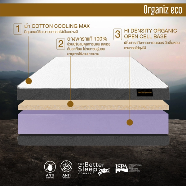 ที่นอนยางพาราแท้100% ธรรมชาติ ผสานด้วย HI-DENSITY ORGANIC OPEN CELL BASE รุ่น ORGANIZ ECO