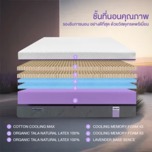 ที่นอนยางพาราแท้100% ธรรมชาติ แบบฉีดขึ้นรูป ออร์แกนิค เพิ่มความเย็นด้วย Cooling Memory Foam X3 หนา 10-12 นิ้ว รุ่น XTREME-FORCE