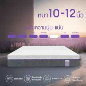 ที่นอนยางพาราแท้100% ธรรมชาติ แบบฉีดขึ้นรูป ออร์แกนิค เพิ่มความเย็นด้วย Cooling Memory Foam X3 หนา 10-12 นิ้ว รุ่น XTREME-FORCE