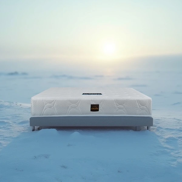 ที่นอน COOLING MEMORY FOAM หุ้มผ้าแจ็คการ์ด กันไรฝุ่น รุ่น ICEGIA